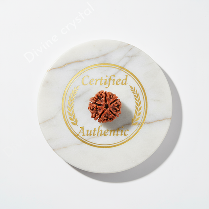 5 Mukhi Rudraksh Pendnat