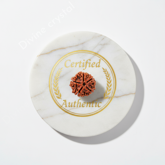 5 Mukhi Rudraksh Pendnat