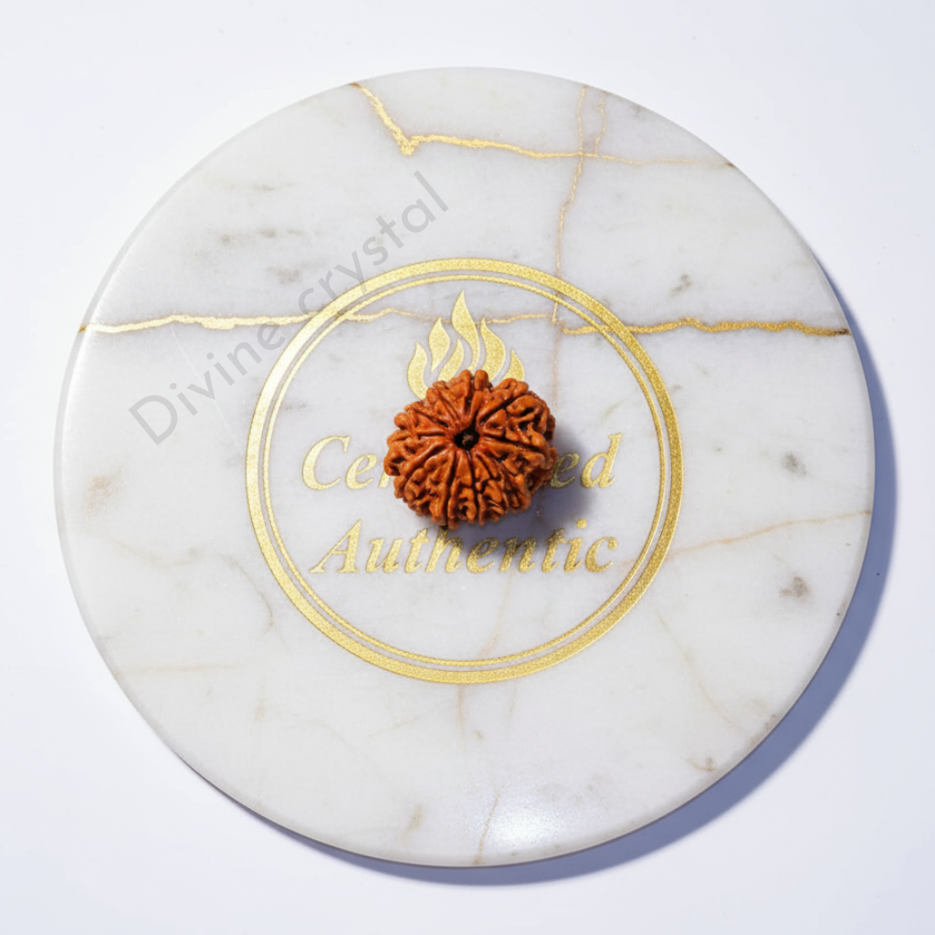 10 mukhi rudraksha pendant