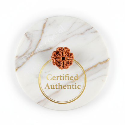 4 Mukhi Nepali Rudraksh Pendnat