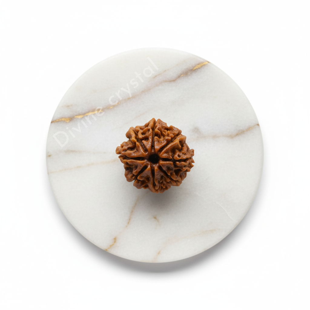 8 Mukhi Nepali Rudraksh Pendnat