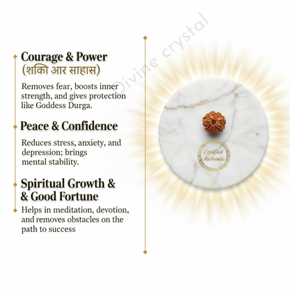 9 mukhi rudraksha pendant