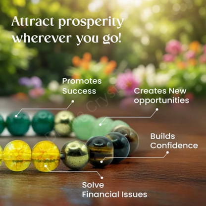 Sampurn Dhan Combo with Raw Selenite Plate