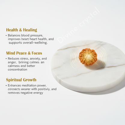 5 Mukhi Rudraksh Pendnat