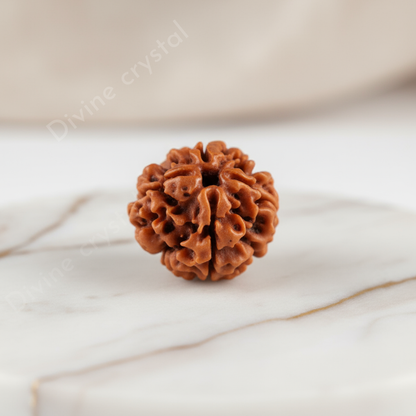 4 Mukhi Nepali Rudraksh Pendnat
