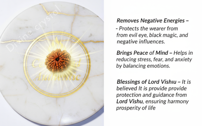 10 mukhi rudraksha pendant