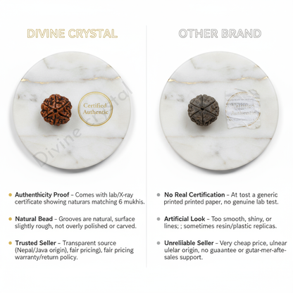 6 Mukhi Rudraksh Pendnat