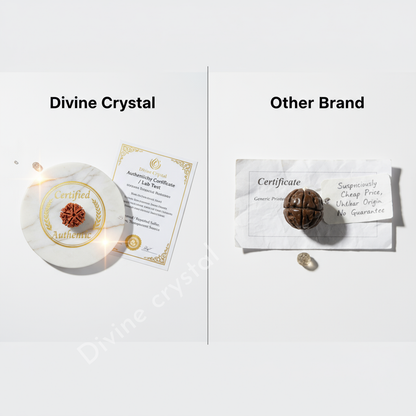 5 Mukhi Rudraksh Pendnat