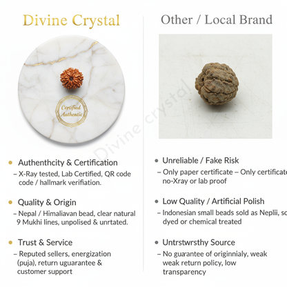 9 mukhi rudraksha pendant