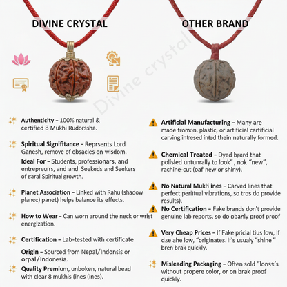 8 Mukhi Nepali Rudraksh Pendnat