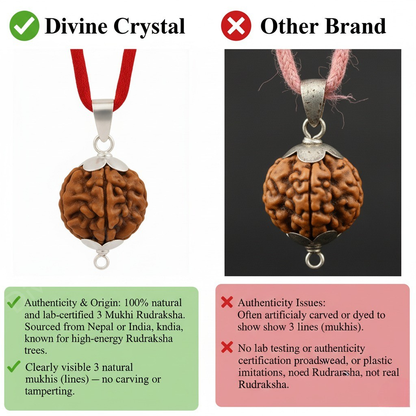 3 Mukhi Nepali Rudraksh Pendnat