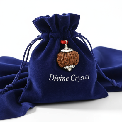 10 mukhi rudraksha pendant