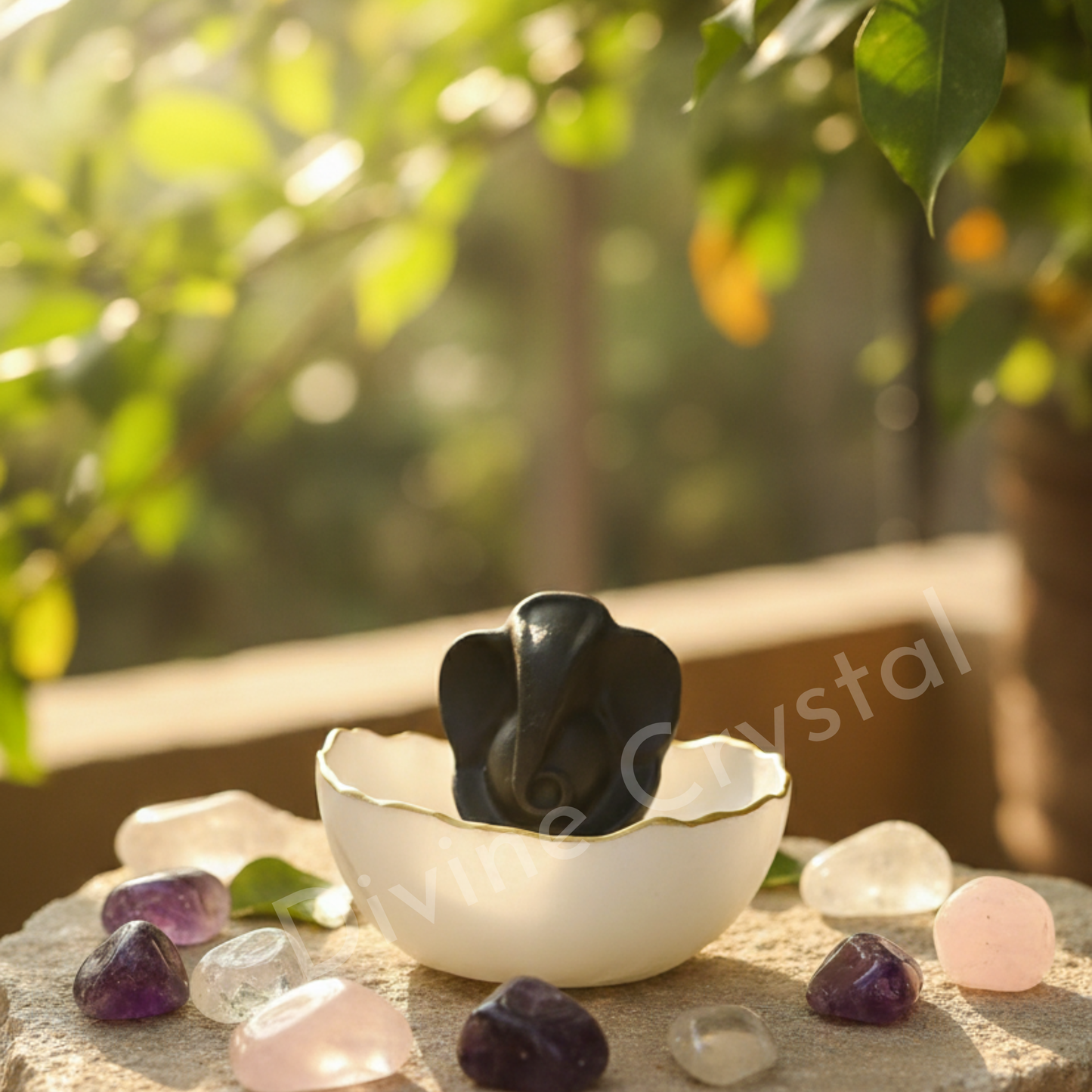 Pyrite Ganesh Ji & Selenite Money Bowl Combo