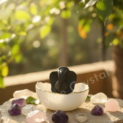Pyrite Ganesh Ji & Selenite Money Bowl Combo